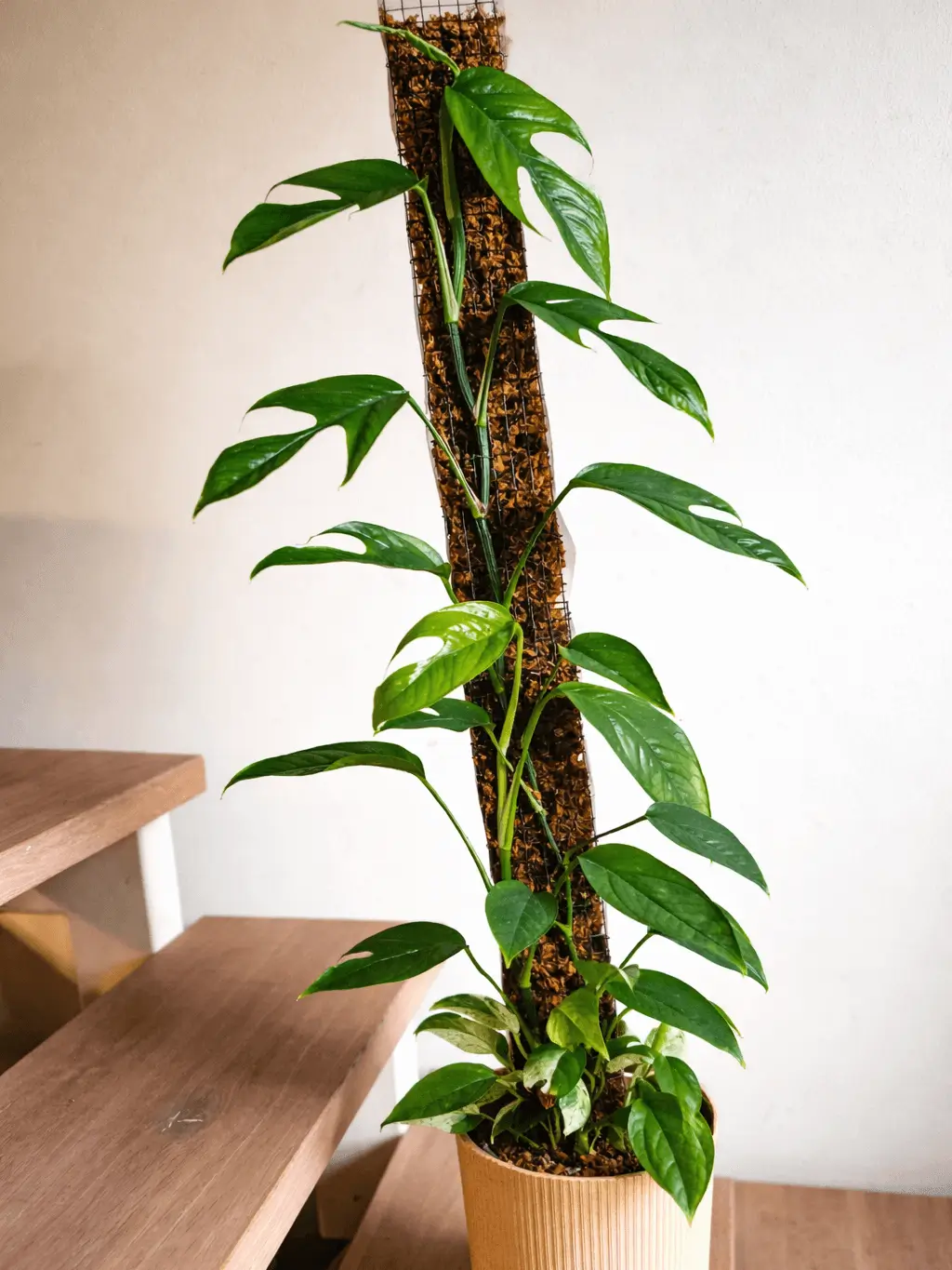 Dodání vhodné opory